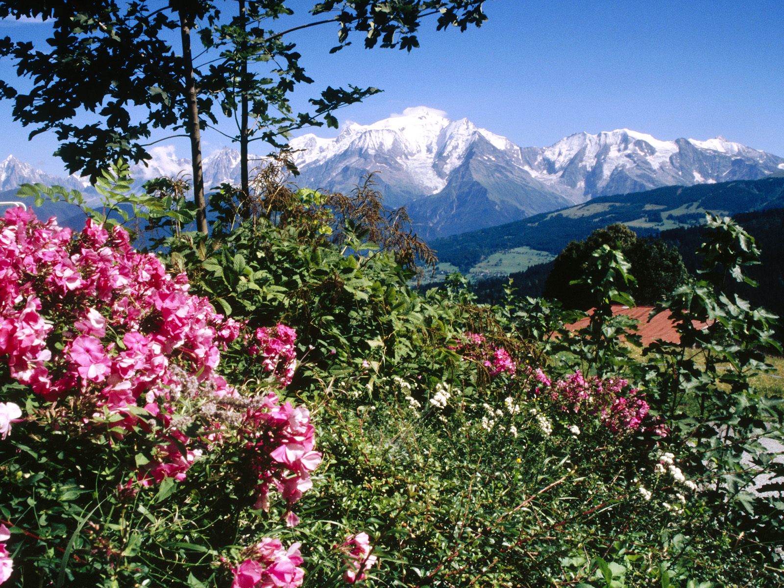 Mont Blanc View From Cordon Village Haute-Savoie 1600 x 1200