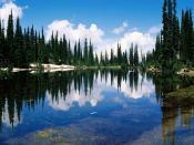 Balsam Lake Mount Revelstoke National Park British Columbia