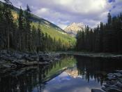 Horseshoe Lake Jasper National Park