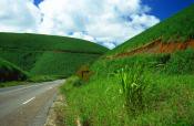 Recife highway and sugar-cane fields brazil