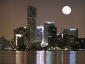 Miami moonlight 1280 x 960