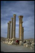 Historic Ruins camels 1024 x 1536