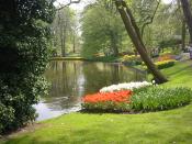 Keukenhof Park The Netherlands