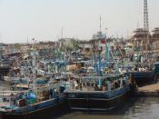 Karachi fisheries