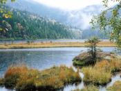 Small Arber Lake Bavarian Forest 1600 x 1200